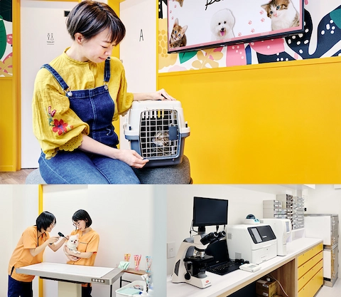 神楽坂分院内部の写真